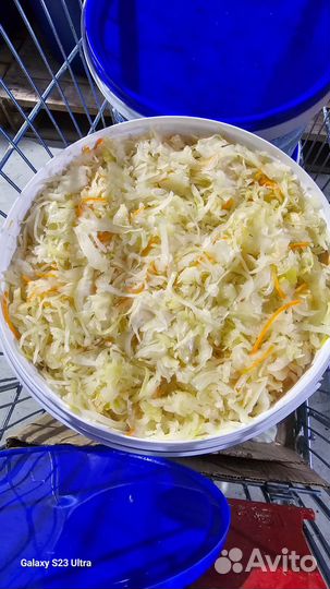 Капуста квашеная