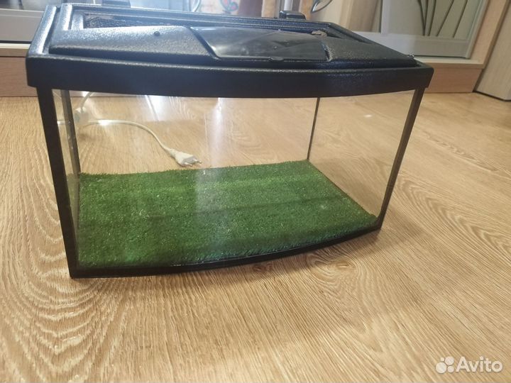 Аквариум,террариум