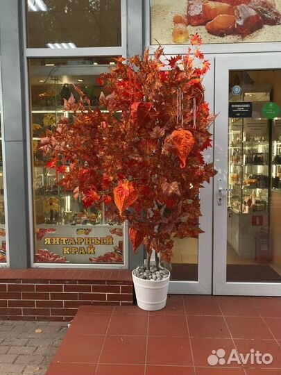 Фотозоны, Декор, Цветы, Аренда конструкции