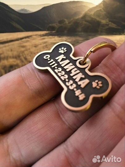 Адресник бирка для породы Джек Рассел