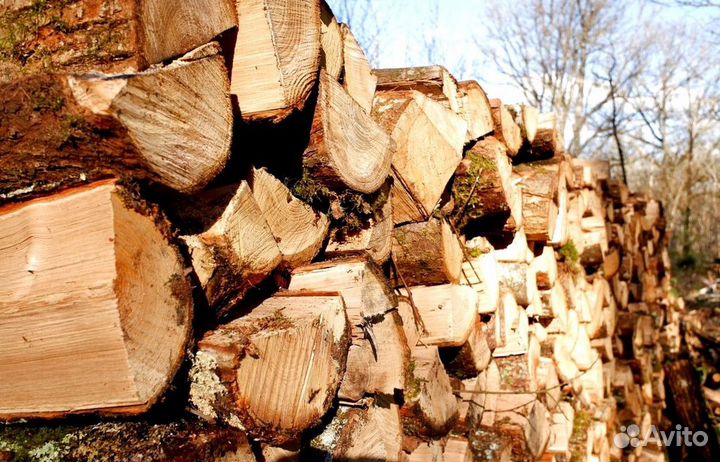 Дрова 35 см