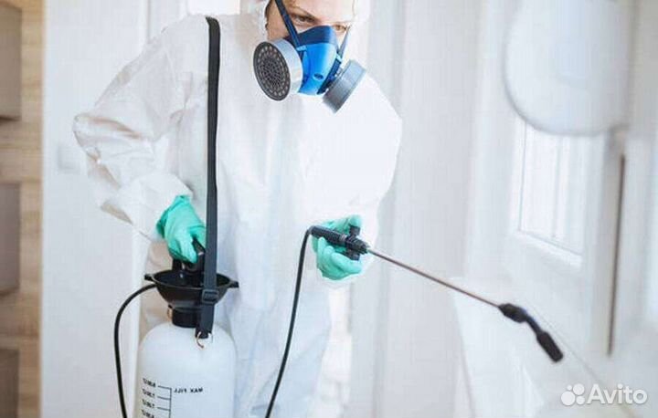 Дезинсекция от тараканов, клопов, блох
