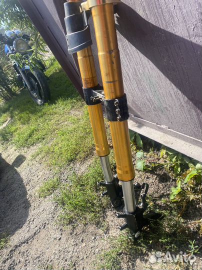 Falcon speedfire 250