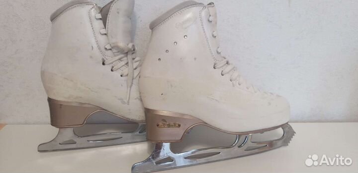 Коньки edea chorus 230