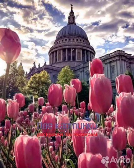 Картина по номерам 40x50 Тюльпаны у собора Святого
