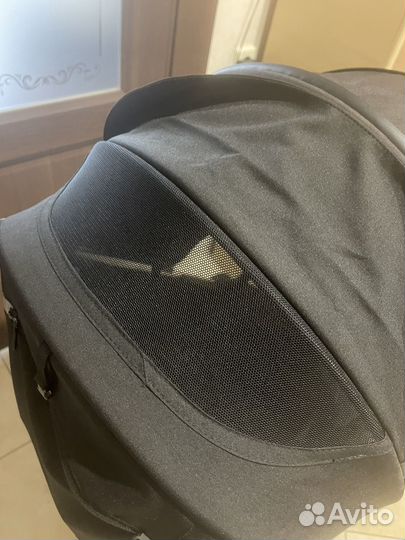 Прогулочная коляска carello Pulse 2022