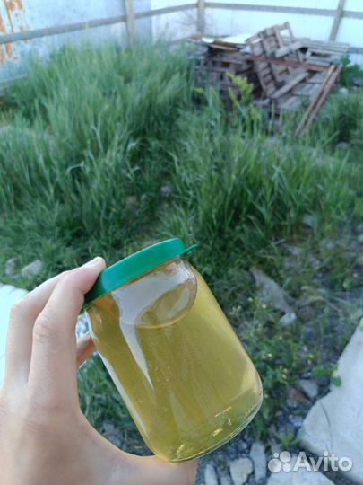 Мед акация 2024года оптом