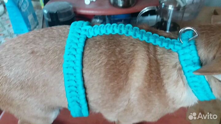 Шлейка для собак,кошек,хорьков