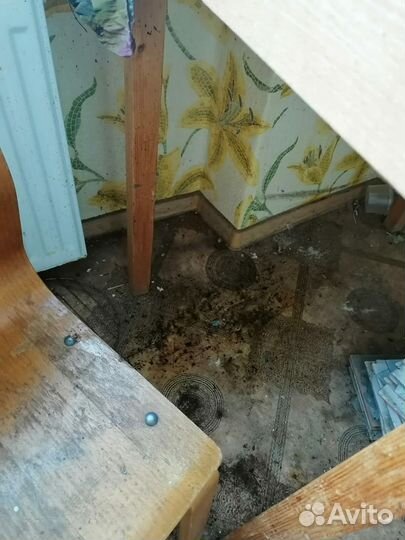 Клининг Генаральная уборка напрямую без агента