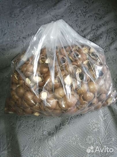 Скарлупа от макадами для творчества 1кг