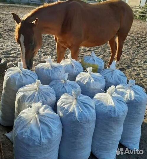 Конский навоз