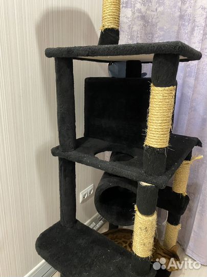 Когтеточка домик для кошки бу