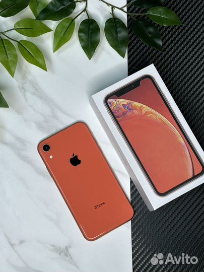 iPhone Xr, 128 ГБ