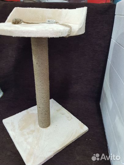 Когтеточка