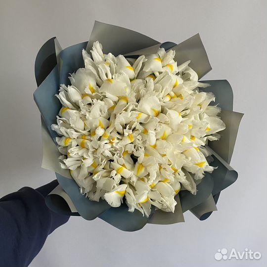 Букет из белых ирисов