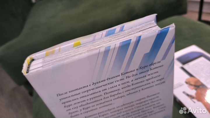 Манга: Ложные выводы, Дневник будущего