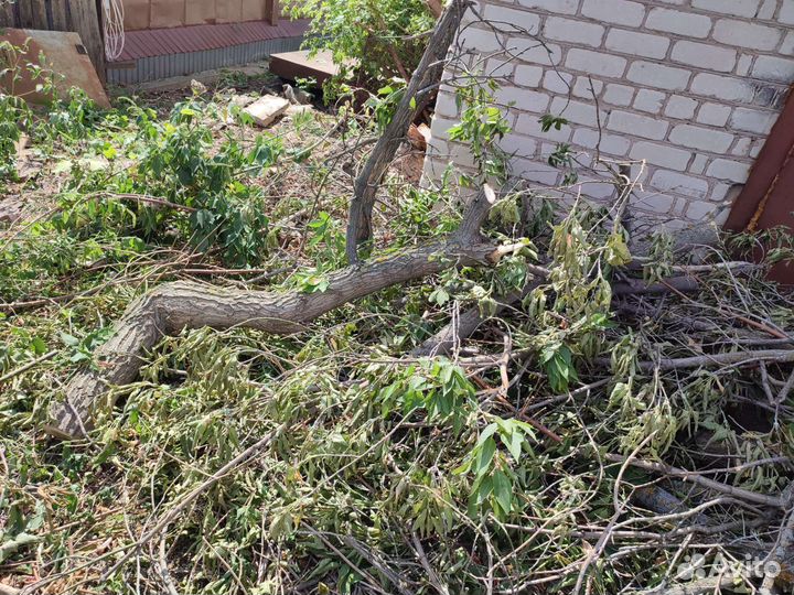 Дрова бесплатно самовывоз