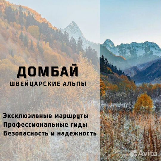 Тур / Тур в Домбай