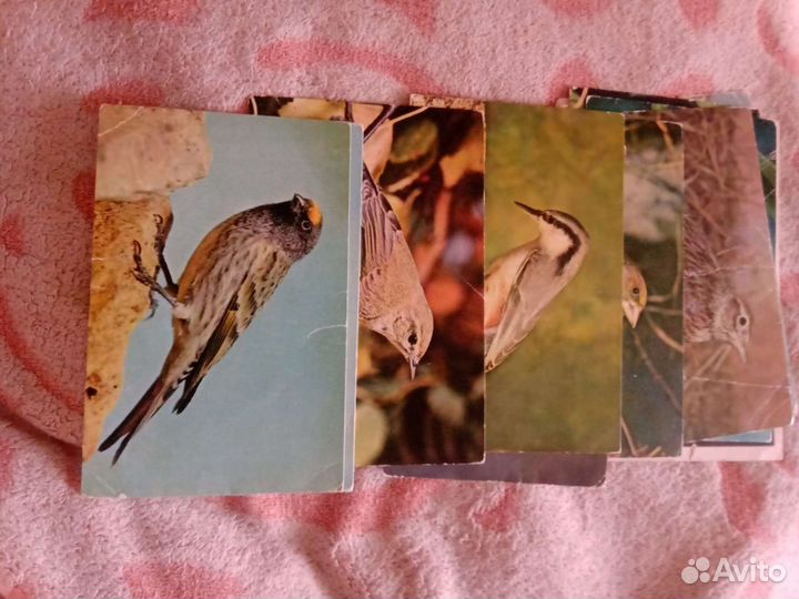 Набор открыток СССР