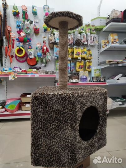 Когтеточка домик для кошки и туалет