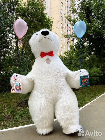 Поздравление от мишки. Большой медведь