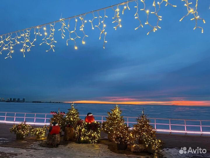 Билеты на каток флагшток 8.01 9:30