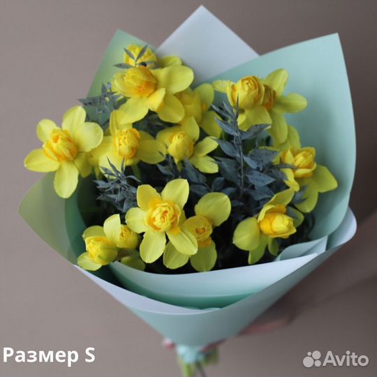 Нарциссы с беспл. доставкой