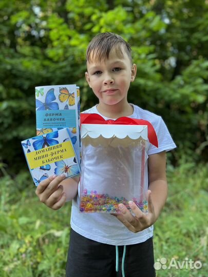 Детская мини ферма бабочек