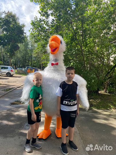 Ростовой костюм