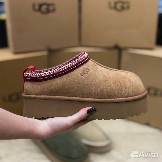 UGG Tazz оригинал хит сезона