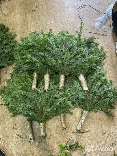 Пихтовые веники м льняной ручкой