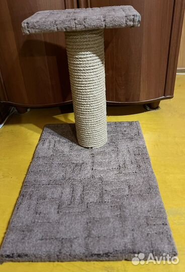 Когтеточка новая