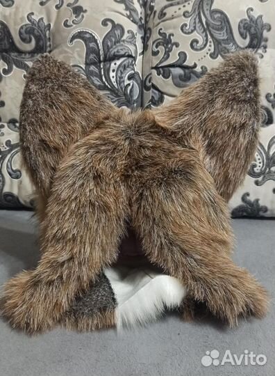 Фурсьют волка