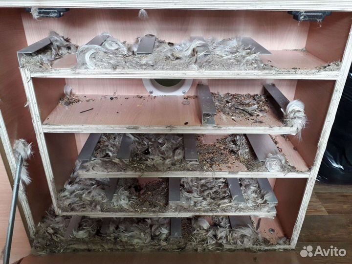 Чистка подушек в г.Орле