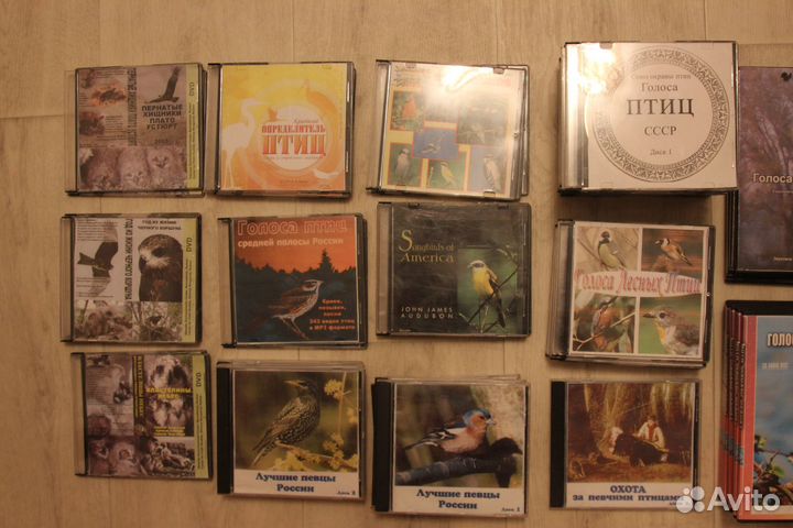 Диски голоса птиц