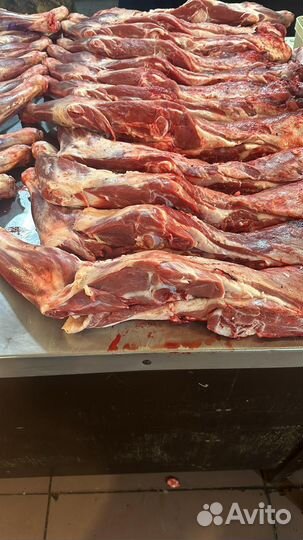 Баранина свежая