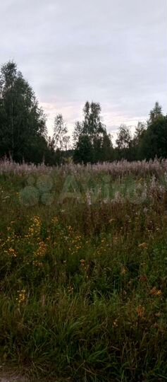 Участок 5,4 га (СНТ, ДНП)