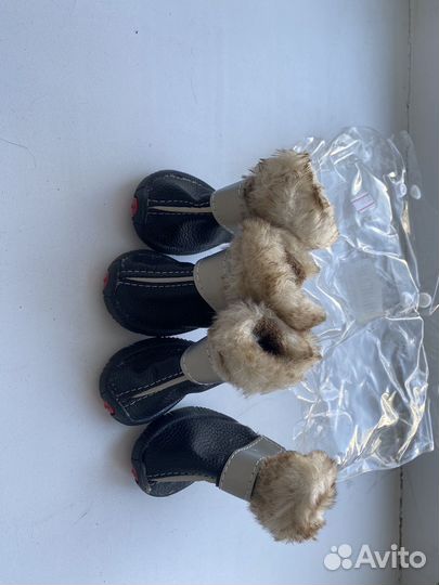 Одежда и аксессуары для собак