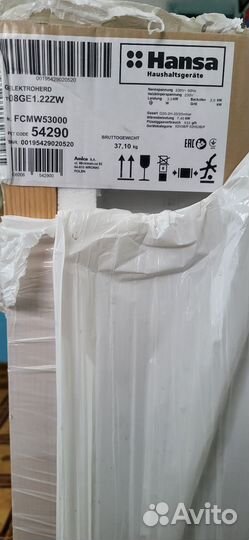 Комбинированная плита Hansa fcmw53000