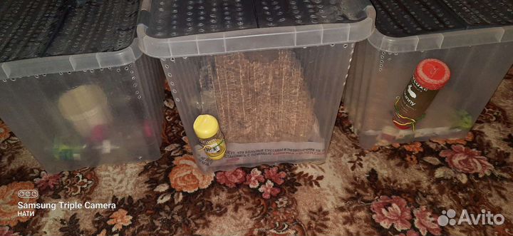 Готовое жильё для грызунов