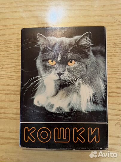 Кошки. набор открыток. 1991 Г