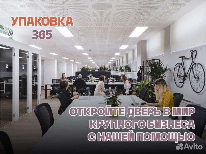 Бизнес во франшизу