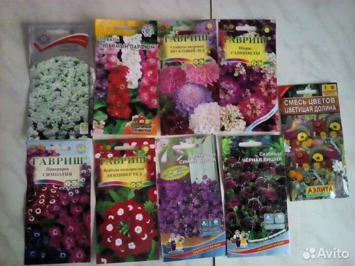 Ведерко для цветов, семена цветов бесплатно