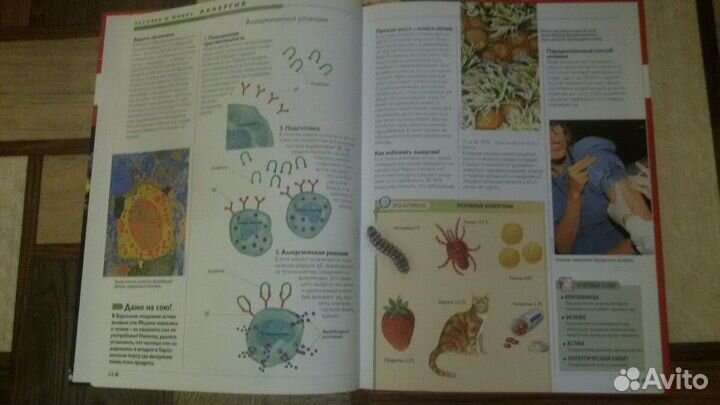 Энциклопедии 