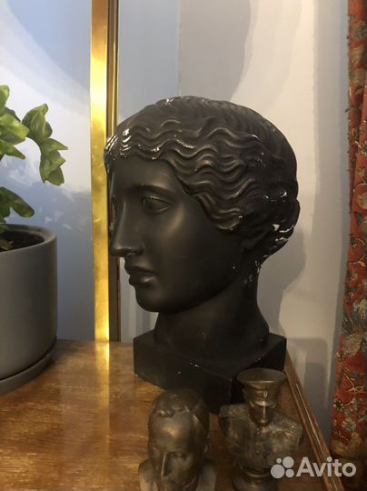 Бюст афродита гипс