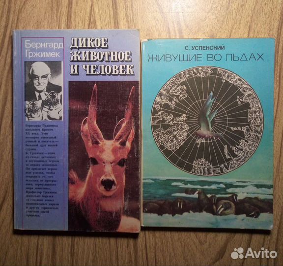 Трудовое право. Учебник. 2001