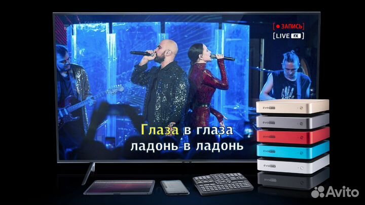 Караоке для дома Evobox