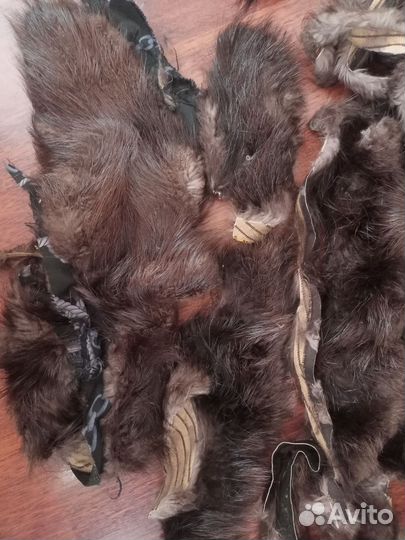 Шкурка песца, чернобурки,кусочки для реставрации