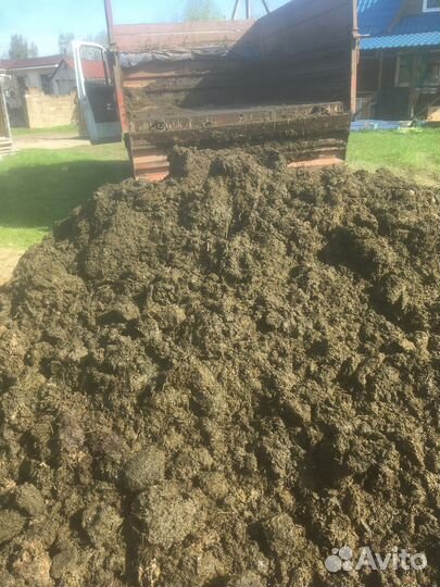 Навоз коровий