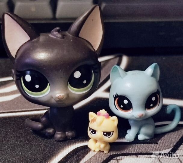 Littlest pet shop